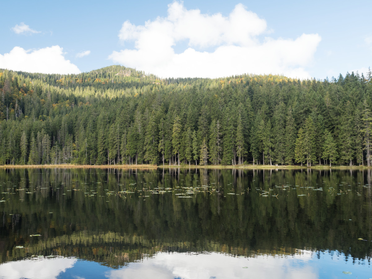 Arbersee