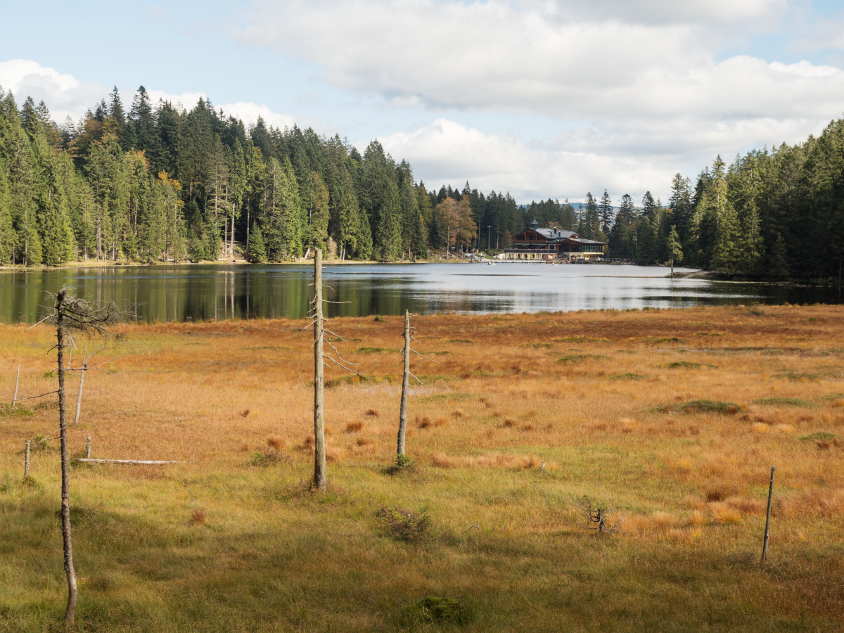 Arbersee
