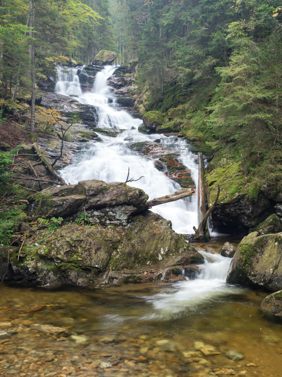 Rieslochfälle