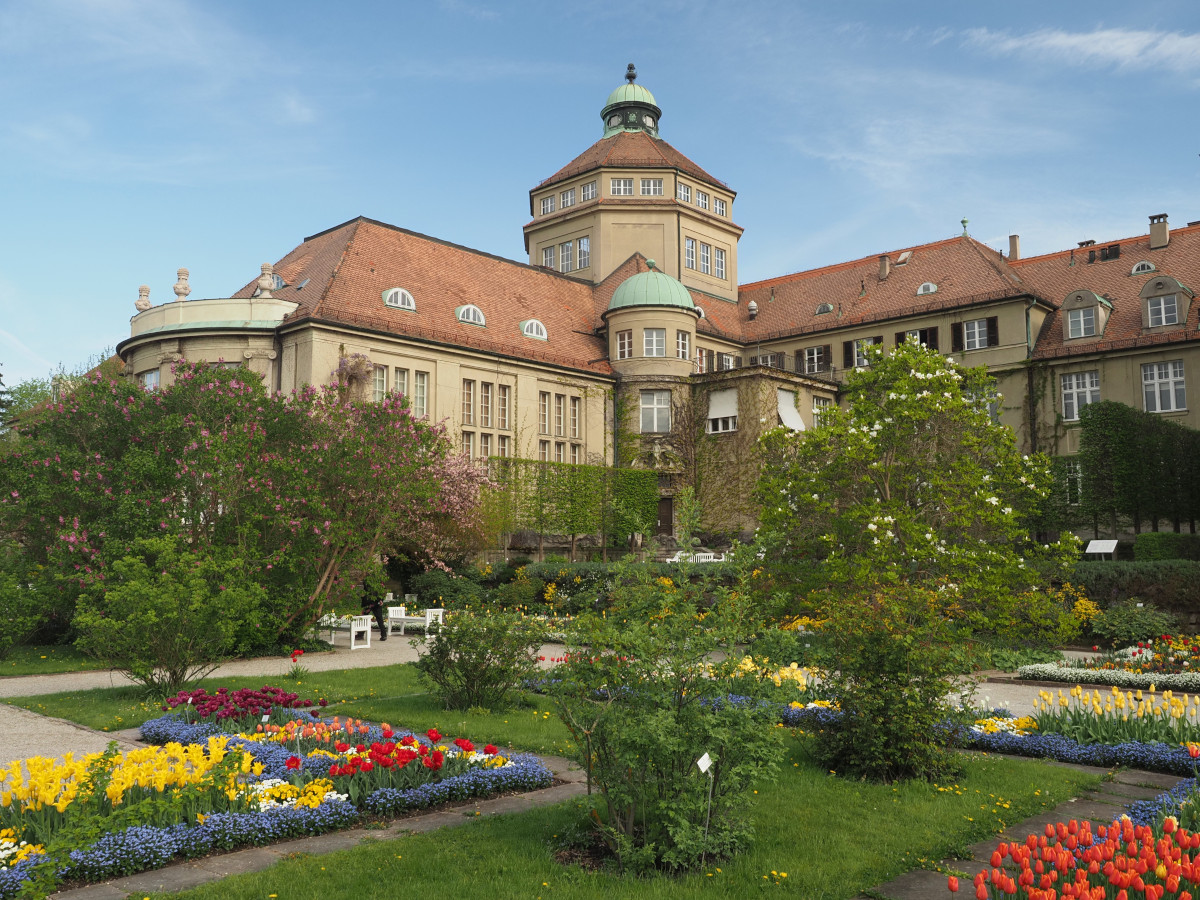 Botanischer Garten