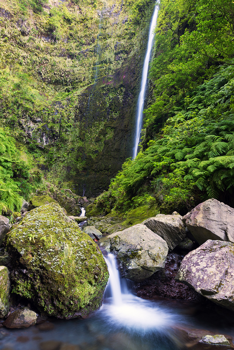 Caldeirão Verde