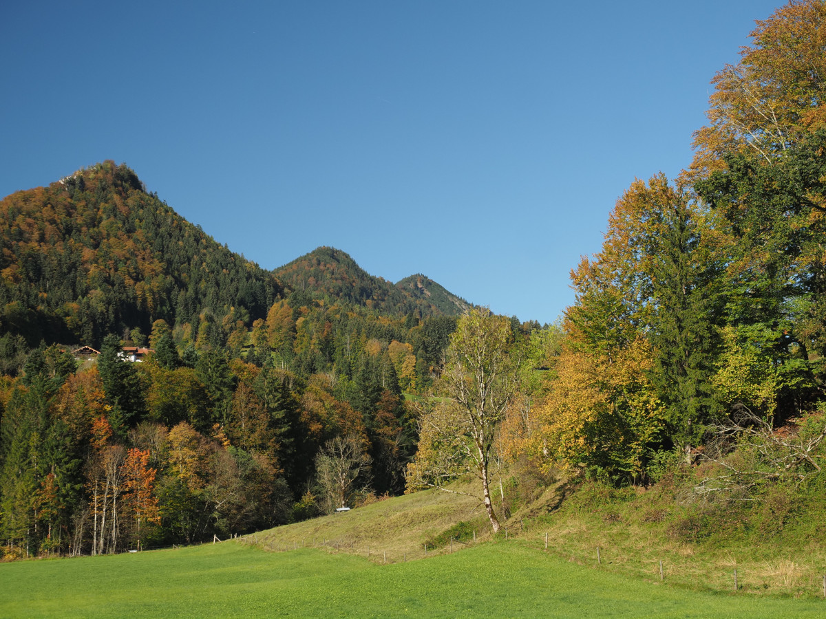 Urschlau